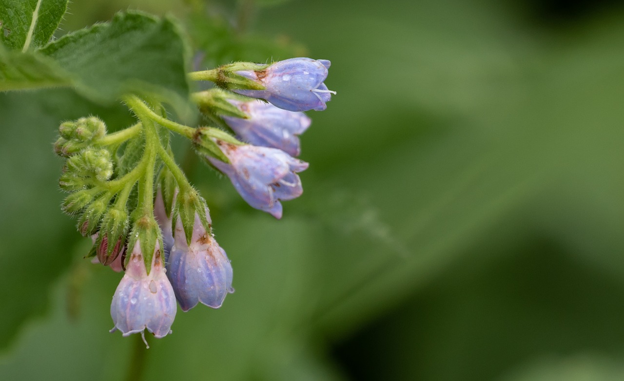 デートの前に知っておきたい口臭対策商品はコンビニで手に入る？