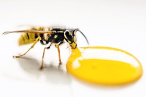 口臭に悩む人が知っておくべきサプリメントと飲酒の影響は？