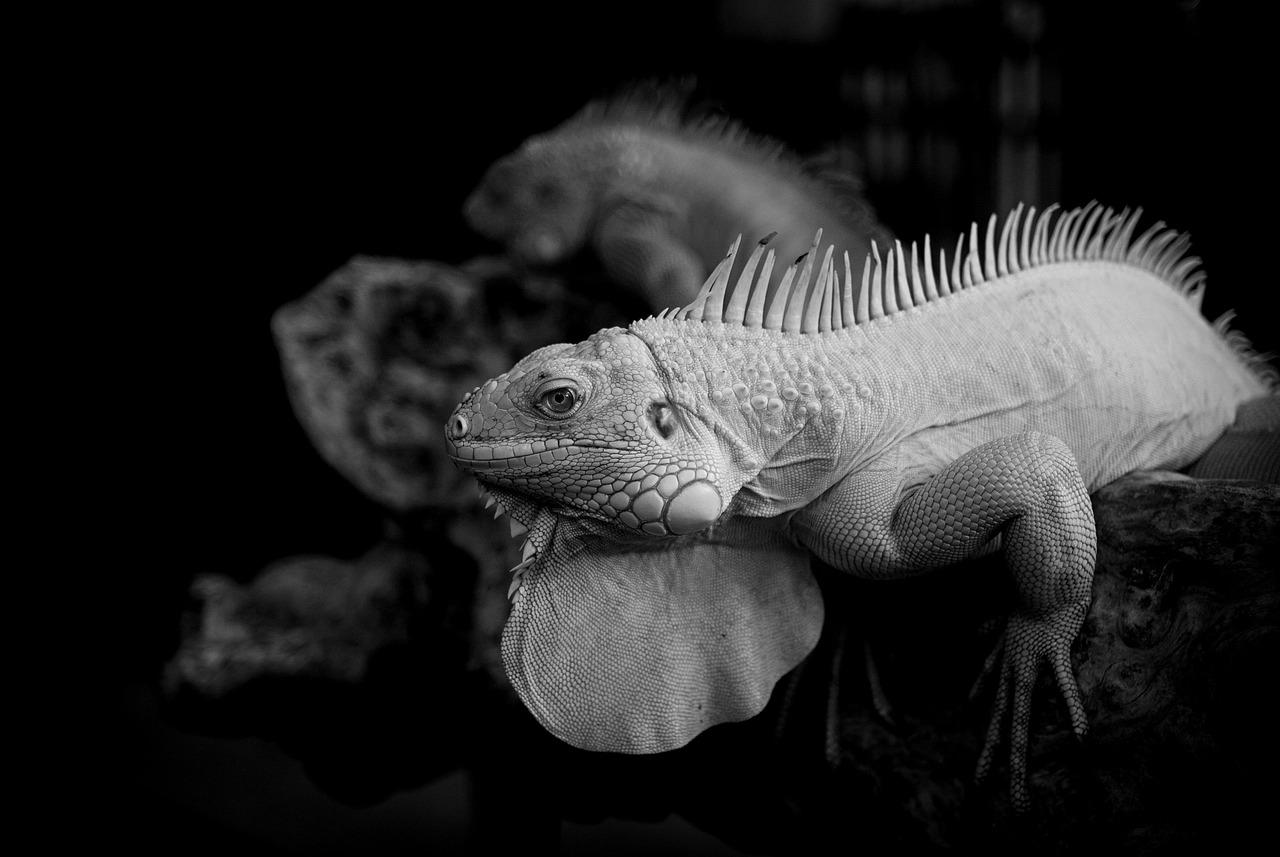 口臭サプリメントに含まれる配合成分は本当に安全なのか？