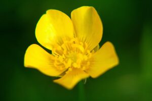 吐く息の臭いの原因と効果的なサプリは？