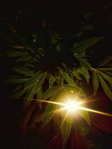 慢性的な口臭を治療するためのサプリはどれがおすすめ？