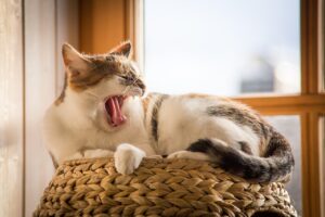親の介護で在宅介護が疲れたときどうする？