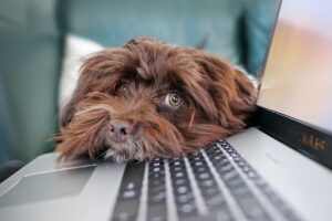 親の介護は在宅と施設、どっちが良い？