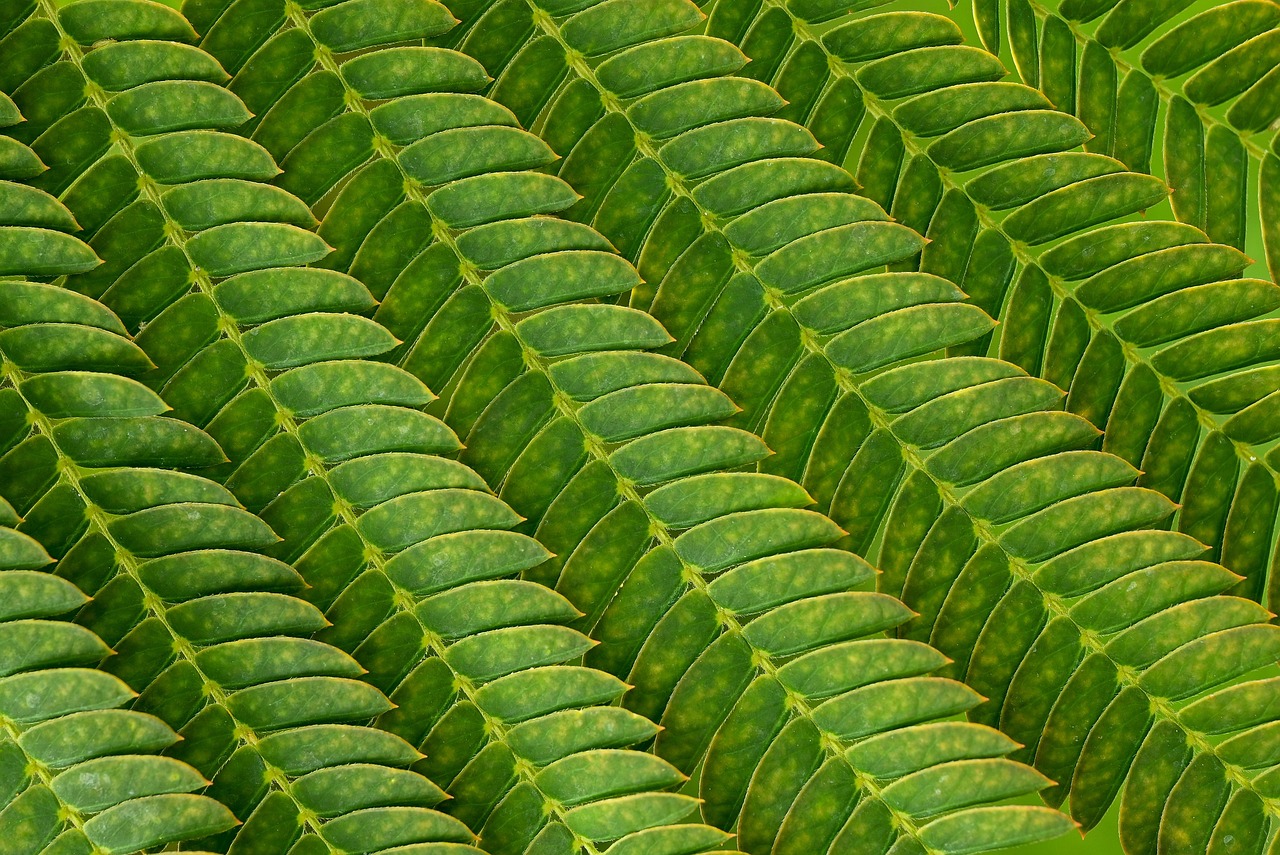 親の在宅介護における限界ラインはどこにあるのか？