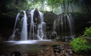 親介護における在宅看取りの流れはどうなっているの？