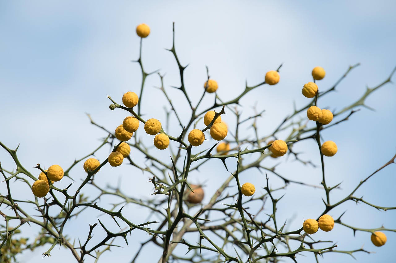 口臭の原因は乾燥にあるのか？