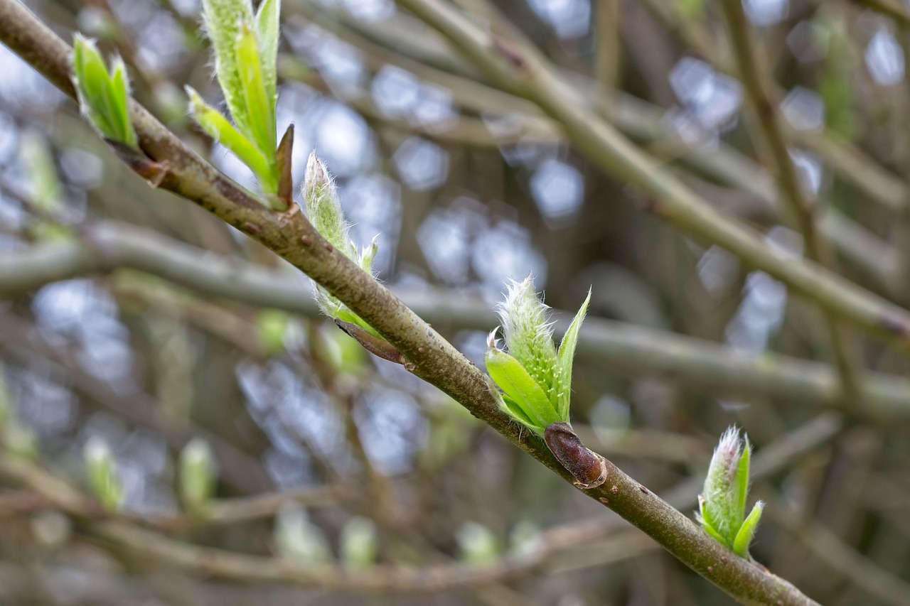 口臭の原因は朝起きた時に何が影響している？対策はどうすれば良い？