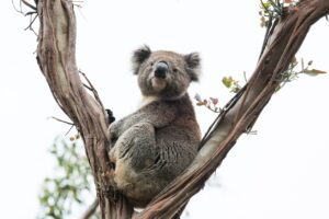 口臭対策に効果的なガムを噛む時間はどれくらい？