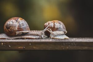 口臭対策に食後すぐできることは何ですか？